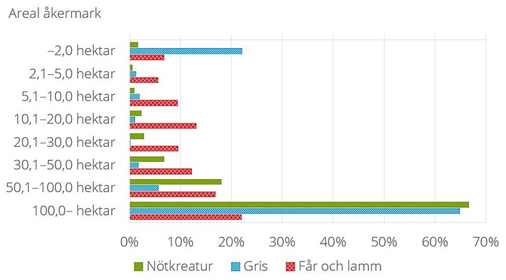 Antal slaktade djur under 2023 per djurslag fördelat efter företagens areal åkermark