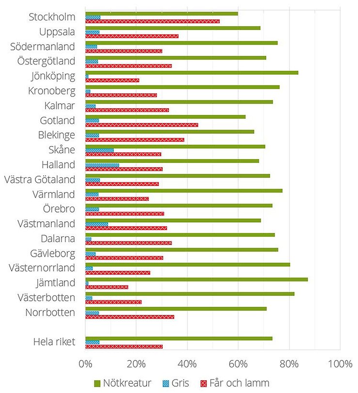 Antal företag som under 2023 skickat djur till slakt per djurslag efter län
