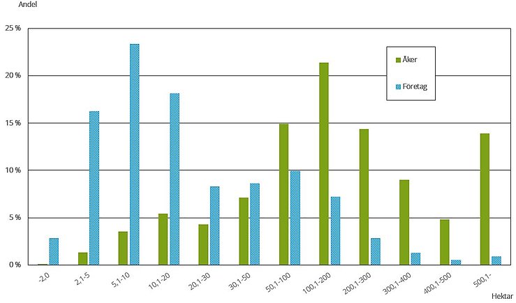 Figur I. Andel företag och andel åkerareal som finns i respektive storleksgrupp åker 2023