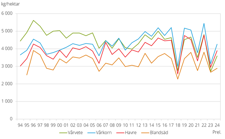 Figur A. Hektarskördar av vårsådda spannmålsgrödor 1994-2024.