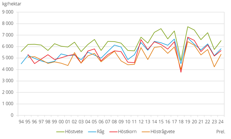 Figur B. Hektarskördar av höstsådda spannmålsgrödor 1994-2024.