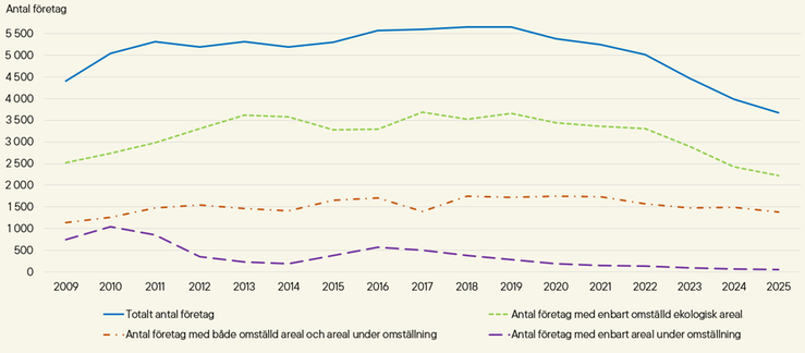 Figur B. Antal företag med ekologiskt brukad jordbruksmark, år 2009–2025