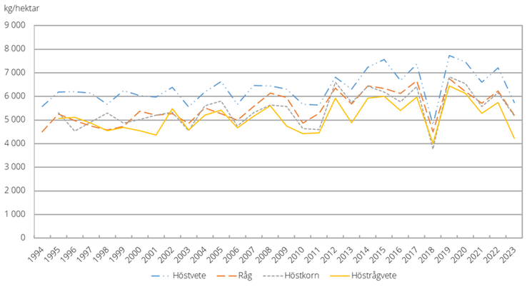 Hektarskördar av höstsådda spannmålsgrödor 1994–2023