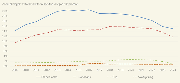Figur C. Andel ekologiskt av total slakt 2009–2024, viktprocent.