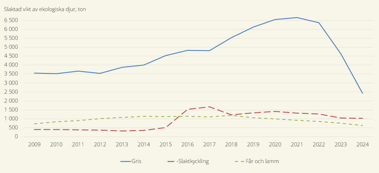 Figur E. Slakt av ekologiskt hållna grisar, får och lamm samt slaktkycklingar 2009–2024, ton.