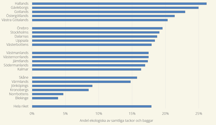 Figur F. Andel omställda ekologiska tackor och baggar per län 2024. Sorterat från högsta till lägsta andel.
