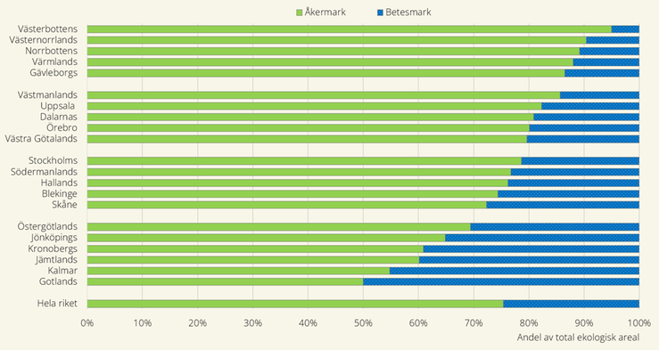 Figur D. Fördelning av åker- och betesmark som andel av den totala ekologiskt brukade arealen jordbruksmark i respektive län 2024. Sorterat på andel åkermark.