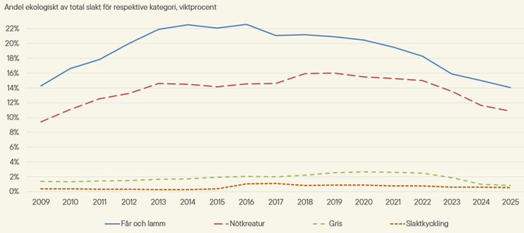 Figur C. Andel ekologiskt av total slakt 2009–2025, viktprocent