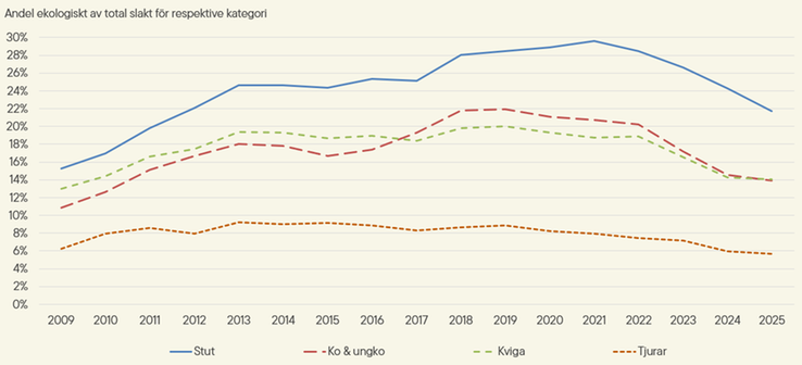 Figur D. Andel ekologiskt hållna slaktade djur av totalt antal slaktade djur per kategori 2009–2025. Tjurar inkluderar alla tjurar, oavsett ålder.