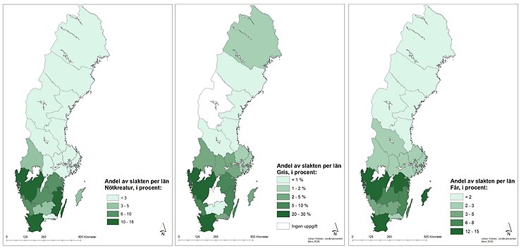  Visualisering av slaktade djur efter län, indelad i intervall baserade på länens andel av det totala antalet slaktade djur. 