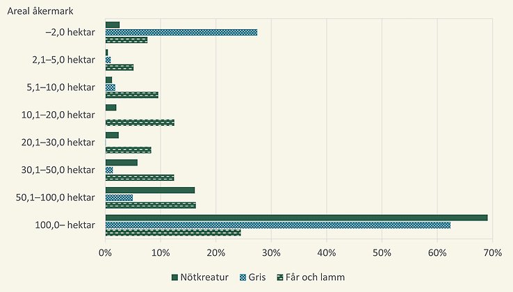 Antal slaktade djur under 2025 per djurslag fördelat efter företagens areal åkermark.