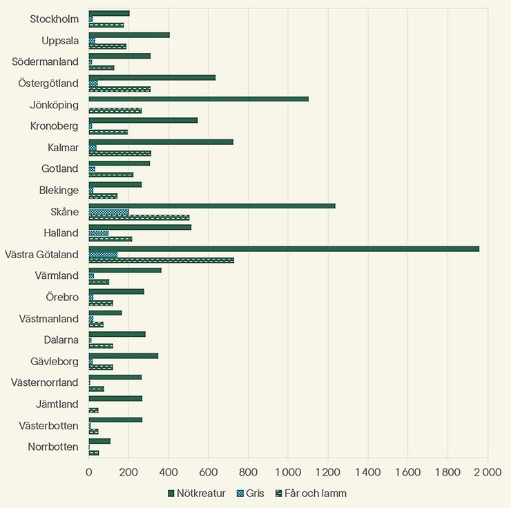 Företag som skickade djur till slakt 2025 fördelat på djurslag och län.
