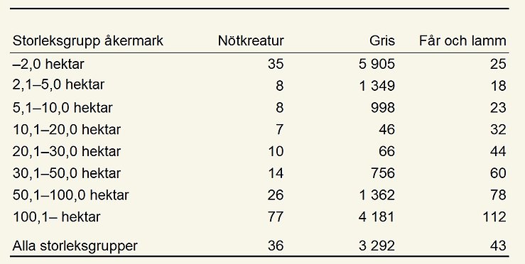 Genomsnittligt antal djur skickade till slakt per djurslag och företag efter storleksgrupp åkermark 2025.