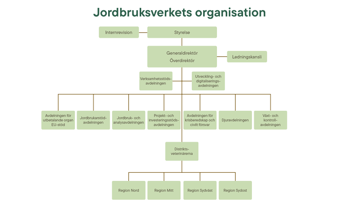 Organisationsskiss för Jordbruksverket.