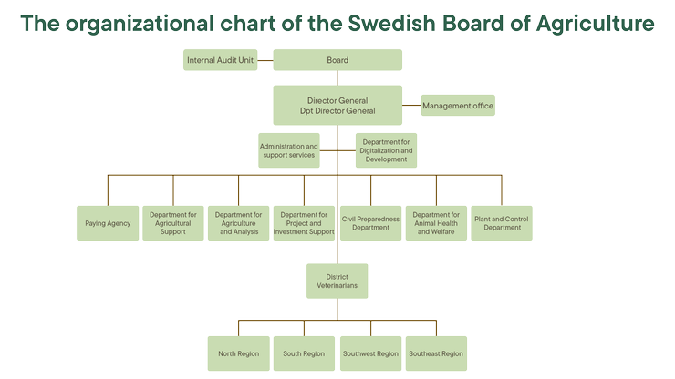 Organisationsplan in English
