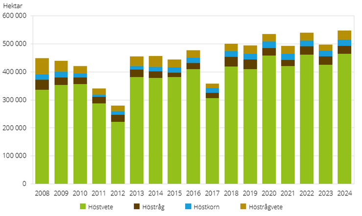 Figur A. Höstsådda arealer av spannmål 2008–2024