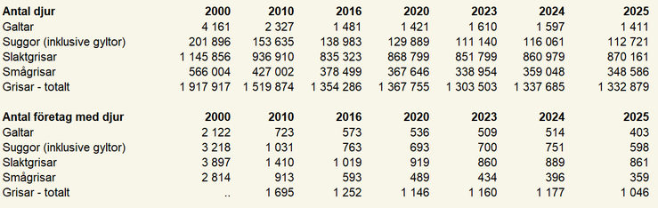 Tablå C. Antal grisar fördelat på olika kategorier år 2000, 2010, 2016, 2020, 2023, 2024, 2025