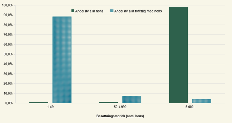 Figur E. Andel höns och företag med höns efter besättningsstorlek 2025