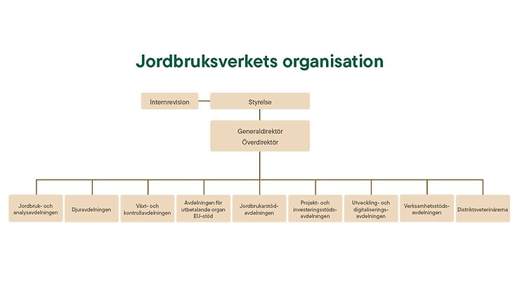 Organisationsskiss för Jordbruksverket.