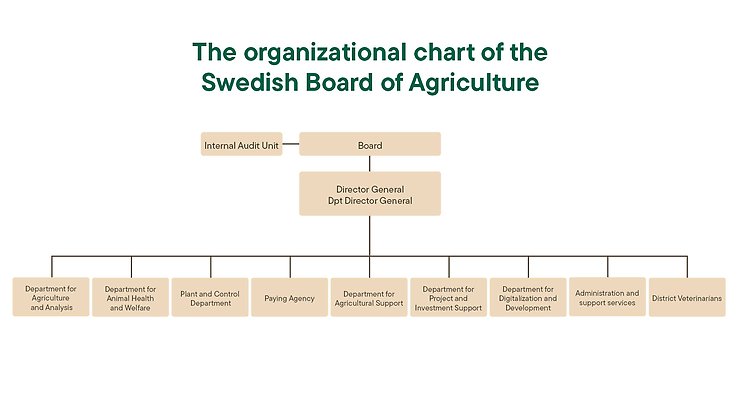 Organisationsplan in English