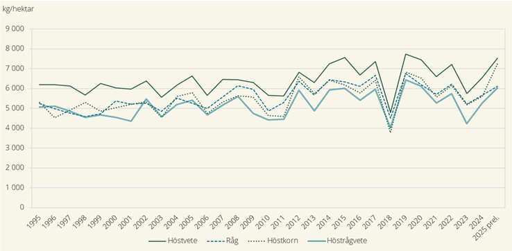 Figur B. Hektarskördar av höstsådda spannmålsgrödor 1995-2025.