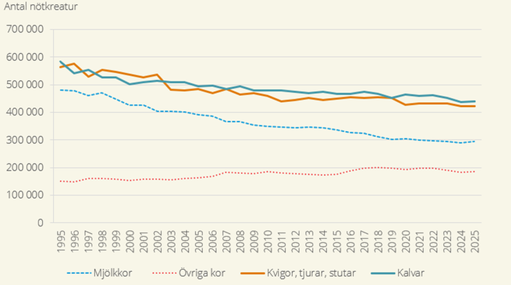 Figur A. Antal nötkreatur i december, år 1995–2025