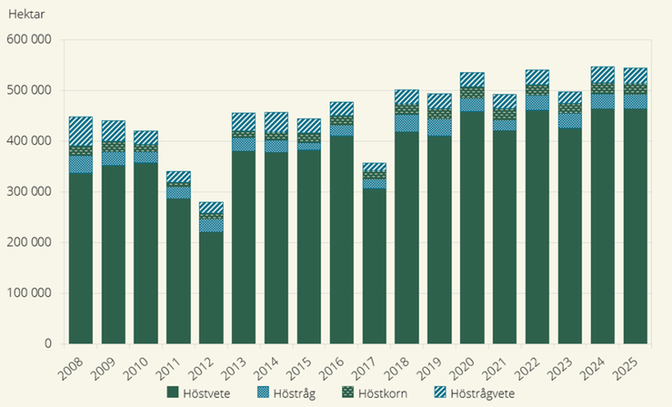 Figur A. Höstsådda arealer av spannmål 2008–2025
