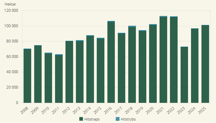 Figur B. Höstsådda arealer av oljeväxter 2008–2025