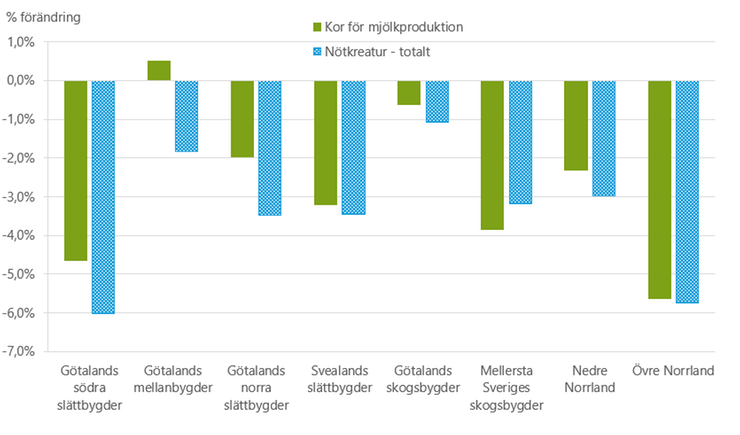 Figur B. Procentuell förändring av antal mjölkkor och antal nötkreatur mellan december 2023 och december 2024 fördelat på produktionsområden