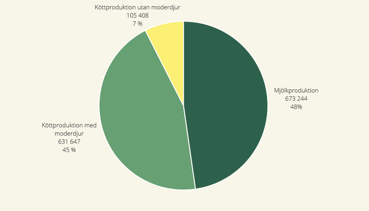 Fördelning av nötkreatur i företag med olika produktionsinriktningar i juni år 2024, antal och procent, majoriteten av djuren finns inom mjölkproduktion eller köttproduktion med moderdjur