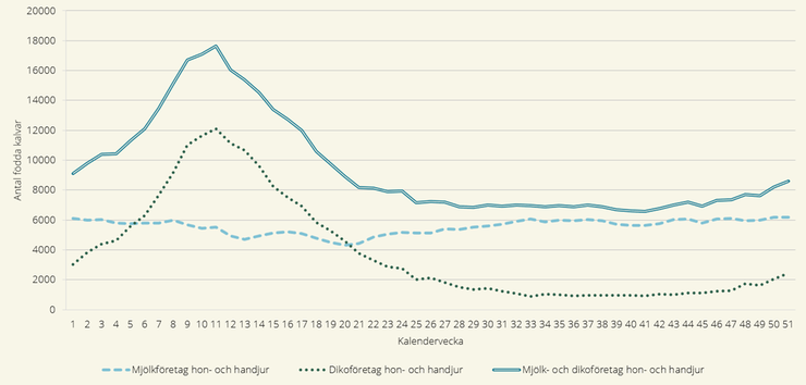 Antal födda kalvar per kalendervecka år 2021 efter produktionsinriktning