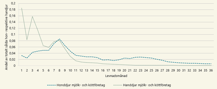 Figur som visar andel försäljningar av nötkreatur födda år 2021 under viss levnadsmånad, uppdelat efter kön