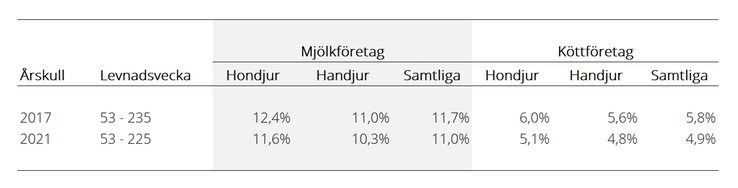 Tablå som visar andel avlivade/självdöda nötkreatur av antal födda i respektive kategori fram till och med cirka 4,5 års ålder i årskullen 2017 och knappt 4,5 års ålder i årskullen 2021, efter kön och födelsebesättningens produktionsinriktning.