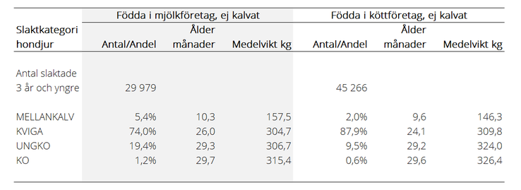 Tablå över antal klassificerade hondjur till och med tre års ålder som ej kalvat eller fått någon dödfödd kalv, födda i mjölk- och köttföretag år 2021. Medelålder och medelslaktvikt per slaktkategori.