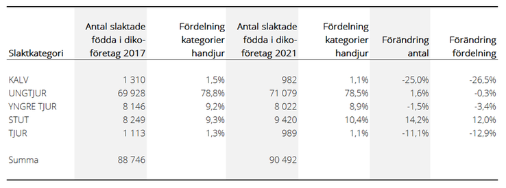 Tablå som visar antal handjur födda i köttföretag år 2017 och 2021, slaktade på slakteri till och med levnadsvecka 235, fördelade på slaktkategori samt förändring i antal och i fördelning mellan slaktkategorier