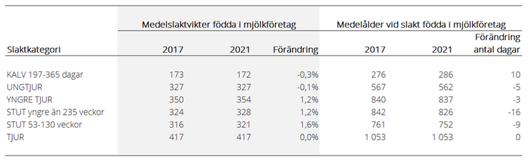 Tablå som visar medelslaktvikter och medelålder i dagar vid slakt för handjur födda i mjölkföretag år 2017 och 2021, fördelade på slaktkategori